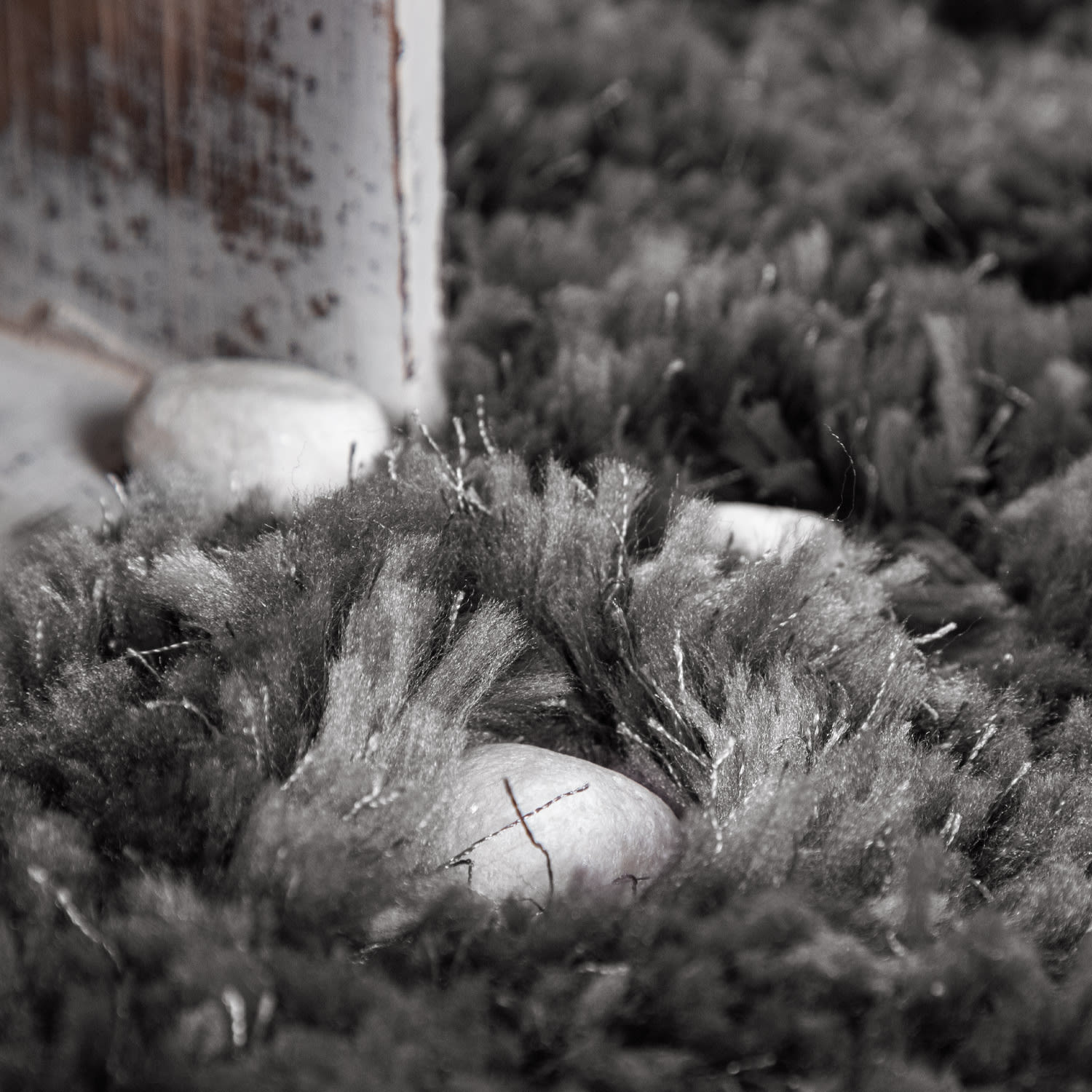 Hochflorteppich Akumal Anthrazit