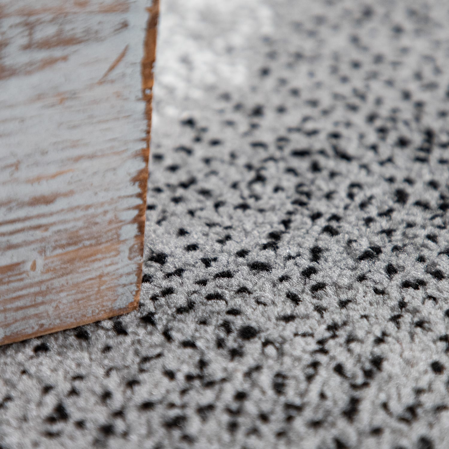 Teppich Mondial Grau